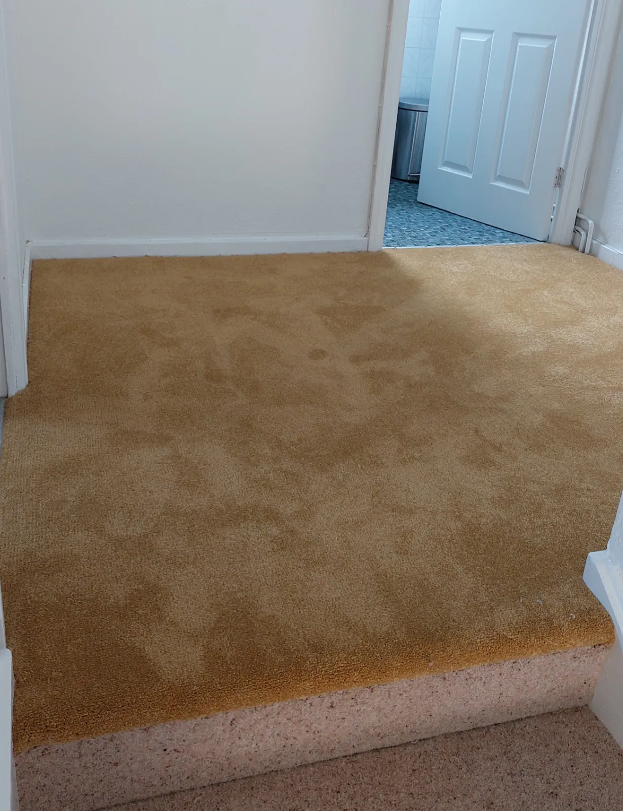 Carpet being fitted
