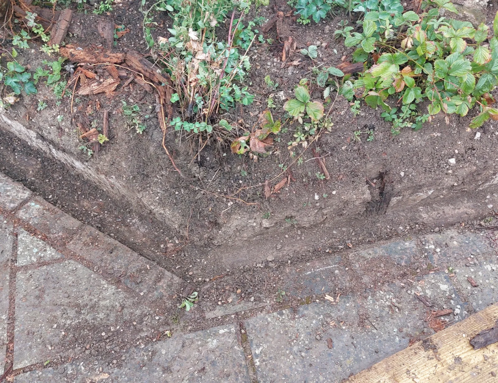 Garden border before improvement