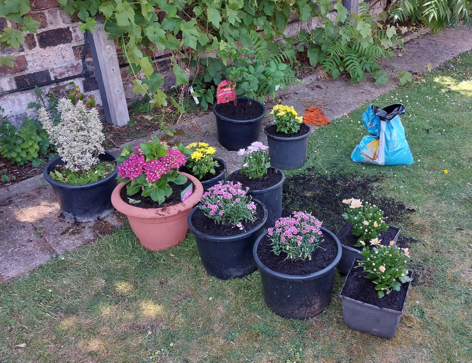 Completed garden pot planting